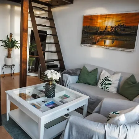 Surfer Loft With Ac And Sun Terrace Bonn