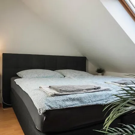 Surfer Loft With Ac And Sun Terrace * Bonn