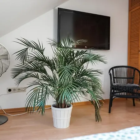 Surfer Loft With Ac And Sun Terrace *