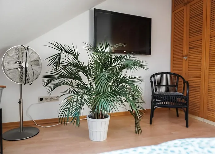 Surfer Loft With Ac And Sun Terrace *